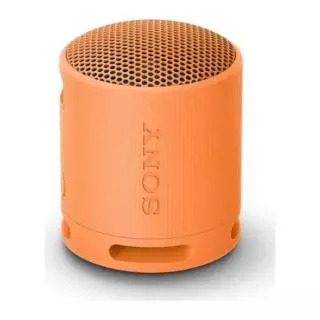 Sony SRS-XB100D